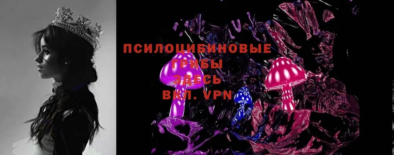 mega ССЫЛКА  Гурьевск  Псилоцибиновые грибы MAGIC MUSHROOMS 